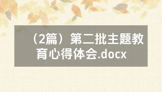 （2篇）第二批主题教育心得体会.docx