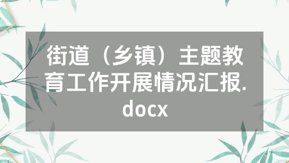 街道（乡镇）主题教育工作开展情况汇报.docx