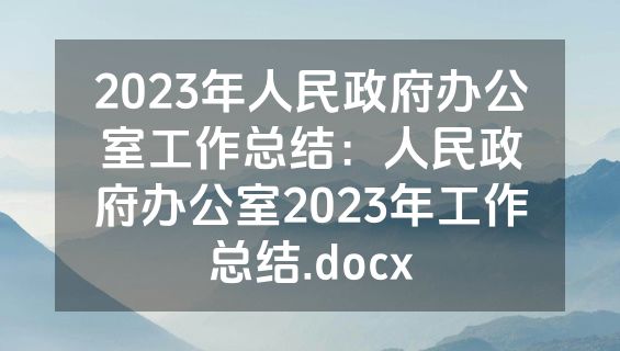 2023年人民政府办公室工作总结：人民政府办公室2023年工作总结.docx