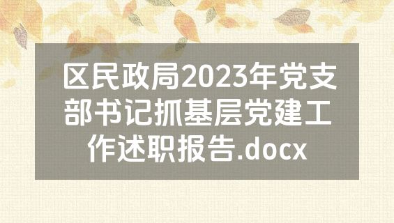 区民政局2023年党支部书记抓基层党建工作述职报告.docx
