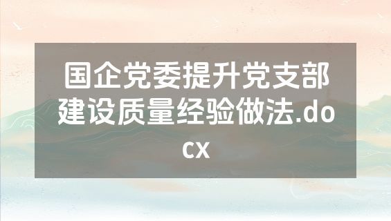 国企党委提升党支部建设质量经验做法.docx