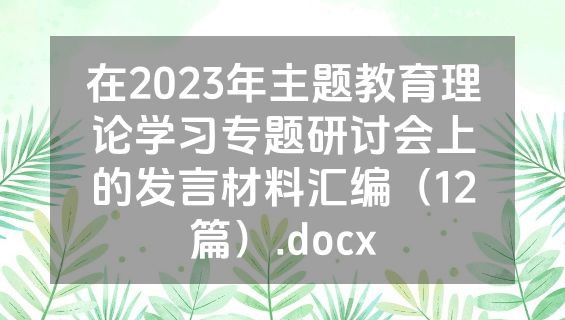 在2023年主题教育理论学习专题研讨会上的发言材料汇编（12篇）.docx