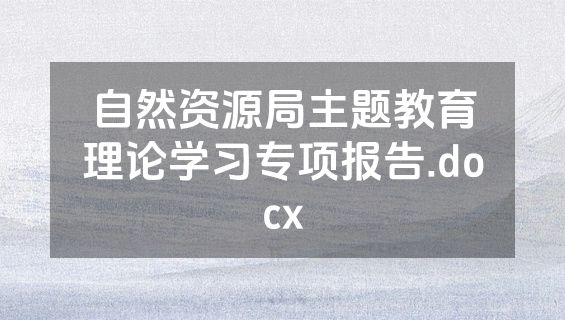 自然资源局主题教育理论学习专项报告.docx