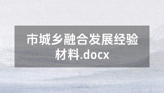 市城乡融合发展经验材料.docx