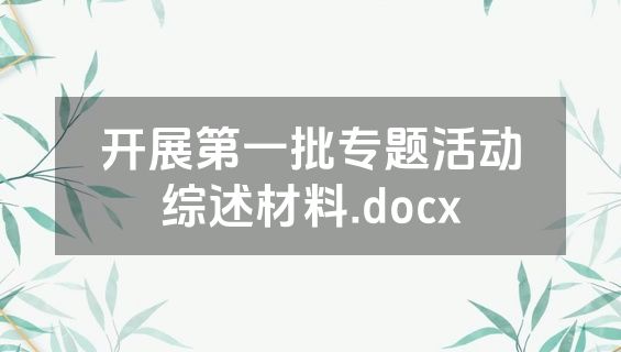 开展第一批专题活动综述材料.docx