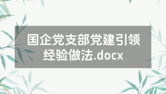 国企党支部党建引领经验做法.docx