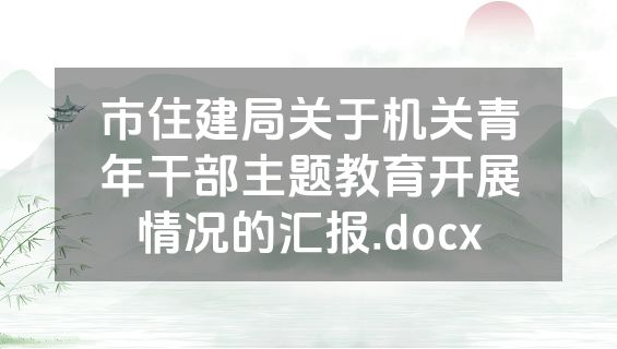 市住建局关于机关青年干部主题教育开展情况的汇报.docx