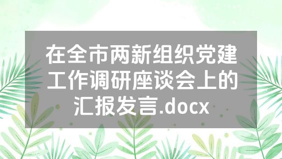 在全市两新组织党建工作调研座谈会上的汇报发言.docx