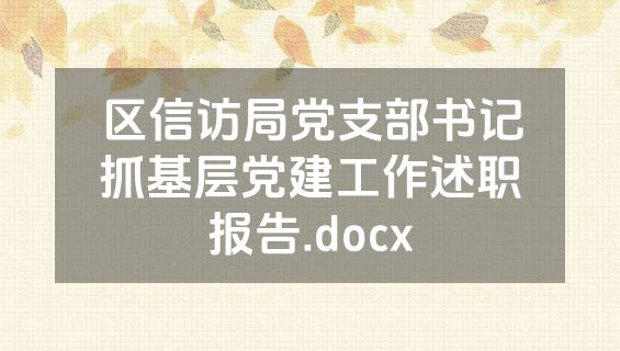 区信访局党支部书记抓基层党建工作述职报告.docx