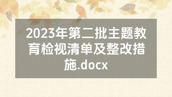 2023年第二批主题教育检视清单及整改措施.docx