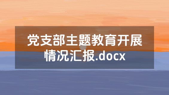 党支部主题教育开展情况汇报.docx