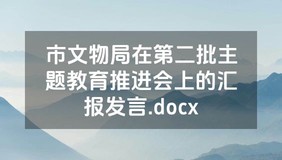 市文物局在第二批主题教育推进会上的汇报发言.docx