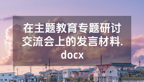 在主题教育专题研讨交流会上的发言材料.docx