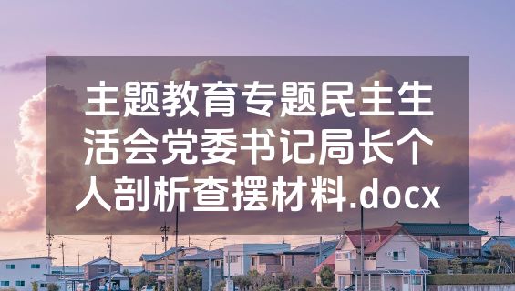 主题教育专题民主生活会党委书记局长个人剖析查摆材料.docx