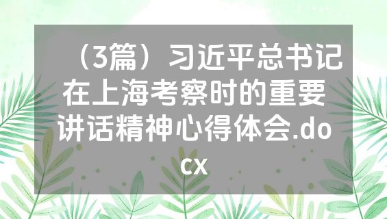 （3篇）习近平总书记在上海考察时的重要讲话精神心得体会.docx