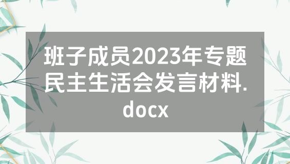 班子成员2023年专题民主生活会发言材料.docx