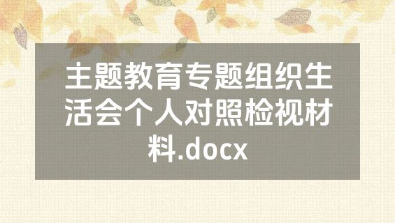 主题教育专题组织生活会个人对照检视材料.docx