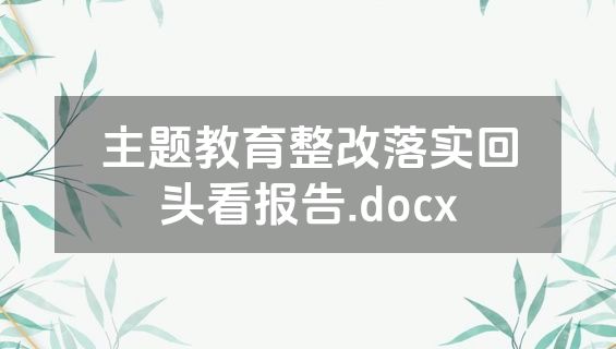 主题教育整改落实回头看报告.docx