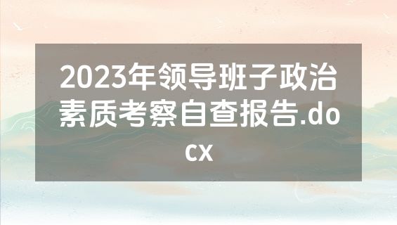 2023年领导班子政治素质考察自查报告.docx
