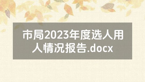 市局2023年度选人用人情况报告.docx