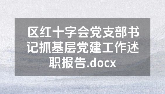 区红十字会党支部书记抓基层党建工作述职报告.docx