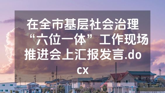 在全市基层社会治理“六位一体”工作现场推进会上汇报发言.docx
