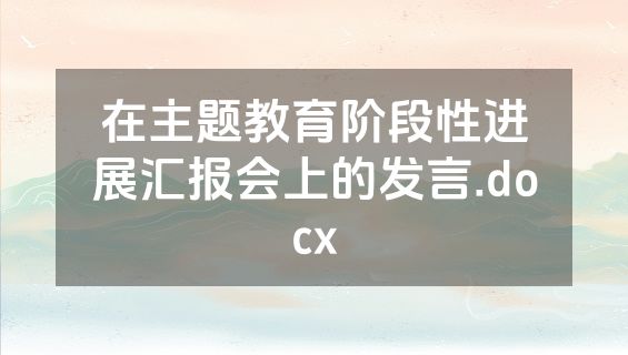 在主题教育阶段性进展汇报会上的发言.docx