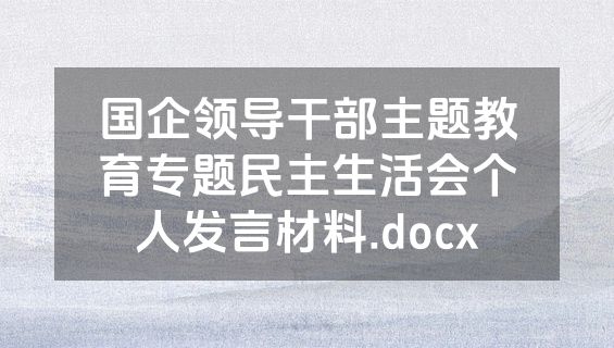 国企领导干部主题教育专题民主生活会个人发言材料.docx
