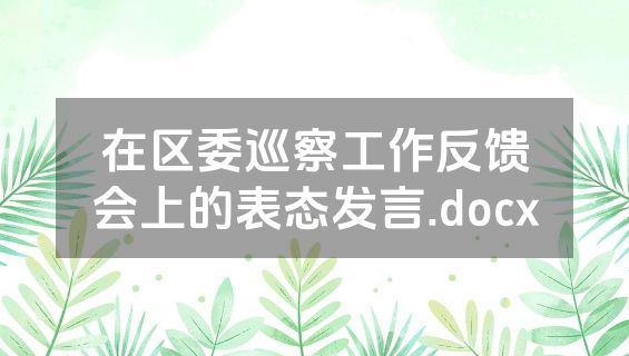 在区委巡察工作反馈会上的表态发言.docx