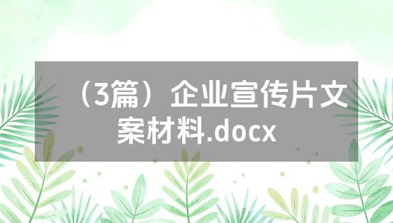 （3篇）企业宣传片文案材料.docx