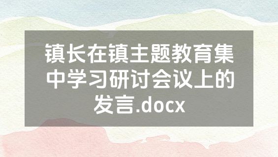 镇长在镇主题教育集中学习研讨会议上的发言.docx