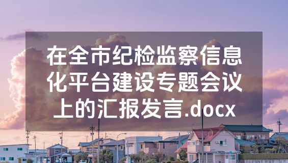 在全市纪检监察信息化平台建设专题会议上的汇报发言.docx