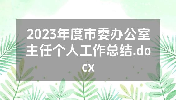 2023年度市委办公室主任个人工作总结.docx