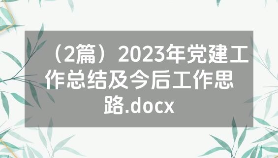 （2篇）2023年党建工作总结及今后工作思路.docx