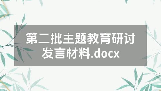 第二批主题教育研讨发言材料.docx