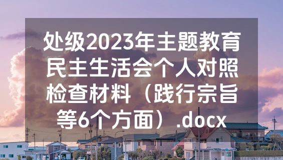 处级2023年主题教育民主生活会个人对照检查材料（践行宗旨等6个方面）.docx