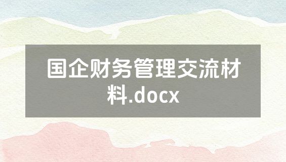 国企财务管理交流材料.docx