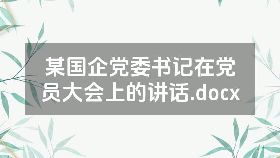 某国企党委书记在党员大会上的讲话.docx