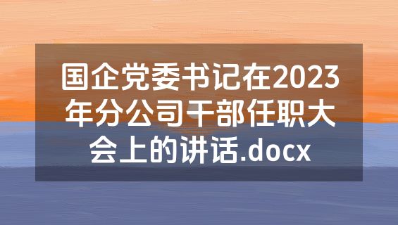 国企党委书记在2023年分公司干部任职大会上的讲话.docx