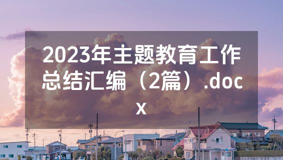 2023年主题教育工作总结汇编（2篇）.docx