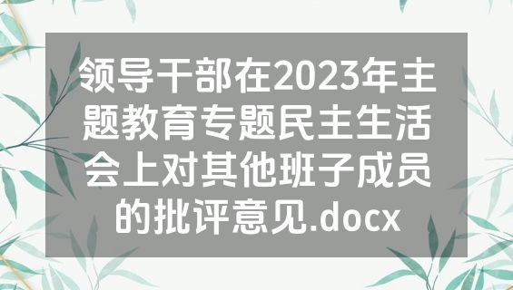 领导干部在2023年主题教育专题民主生活会上对其他班子成员的批评意见.docx