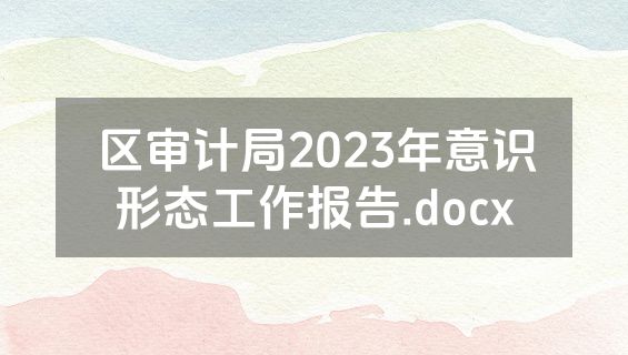 区审计局2023年意识形态工作报告.docx