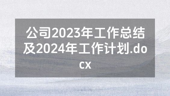 公司2023年工作总结及2024年工作计划.docx