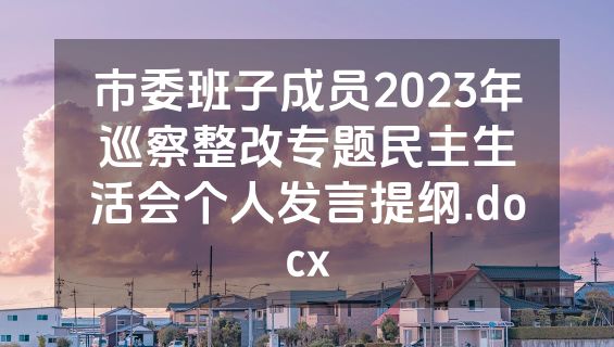 市委班子成员2023年巡察整改专题民主生活会个人发言提纲.docx