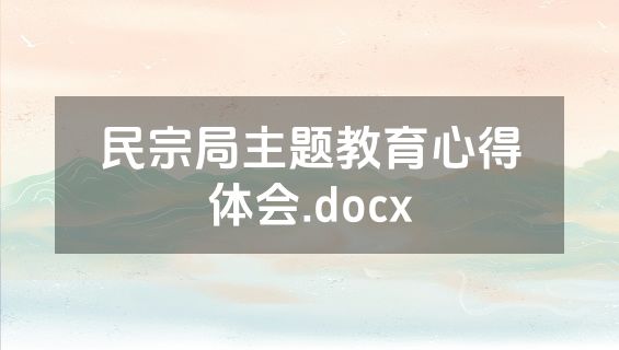 民宗局主题教育心得体会.docx