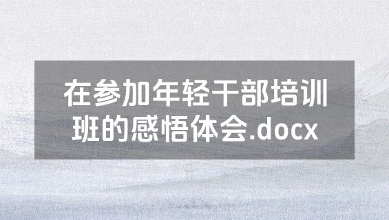 在参加年轻干部培训班的感悟体会.docx