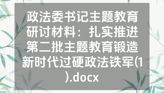 政法委书记主题教育研讨材料：扎实推进第二批主题教育锻造新时代过硬政法铁军(1).docx