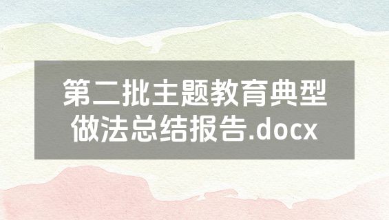 第二批主题教育典型做法总结报告.docx