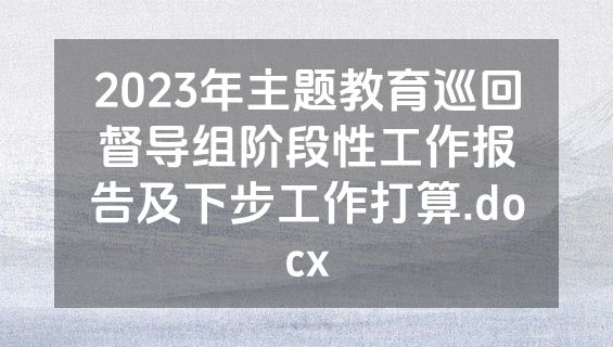 2023年主题教育巡回督导组阶段性工作报告及下步工作打算.docx