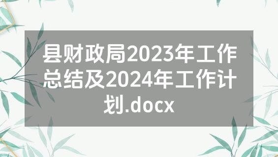 县财政局2023年工作总结及2024年工作计划.docx